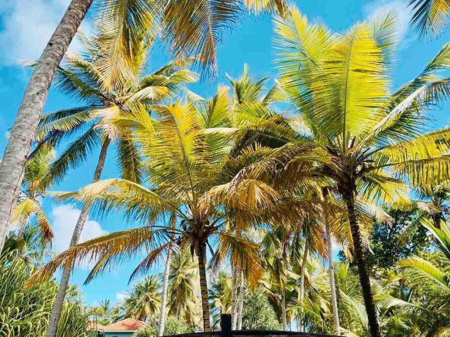 Palm House - Luxury Villa - Samana - Ocean Front Sánchez Zewnętrze zdjęcie