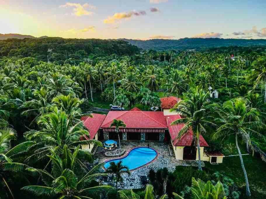 Palm House - Luxury Villa - Samana - Ocean Front Sánchez Zewnętrze zdjęcie