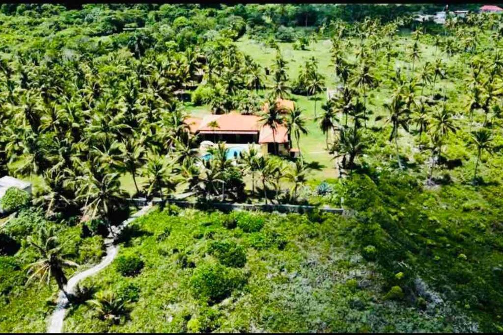 Palm House - Luxury Villa - Samana - Ocean Front Sánchez Zewnętrze zdjęcie