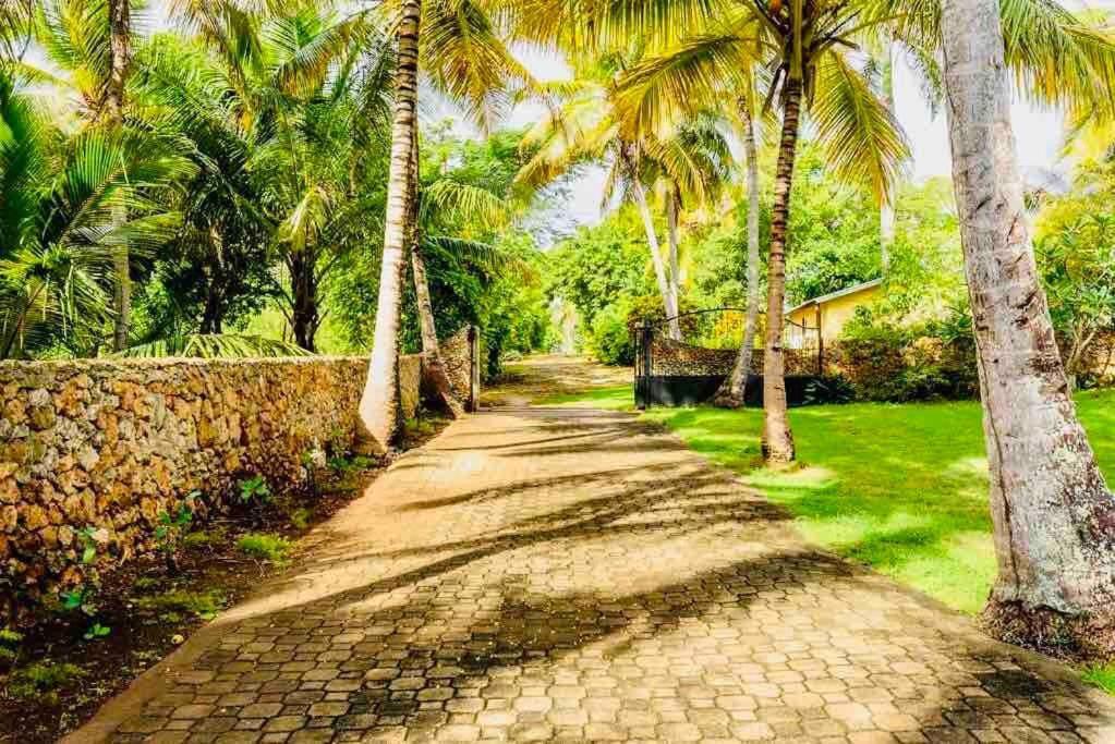 Palm House - Luxury Villa - Samana - Ocean Front Sánchez Zewnętrze zdjęcie