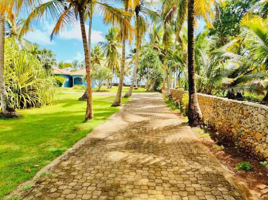 Palm House - Luxury Villa - Samana - Ocean Front Sánchez Zewnętrze zdjęcie