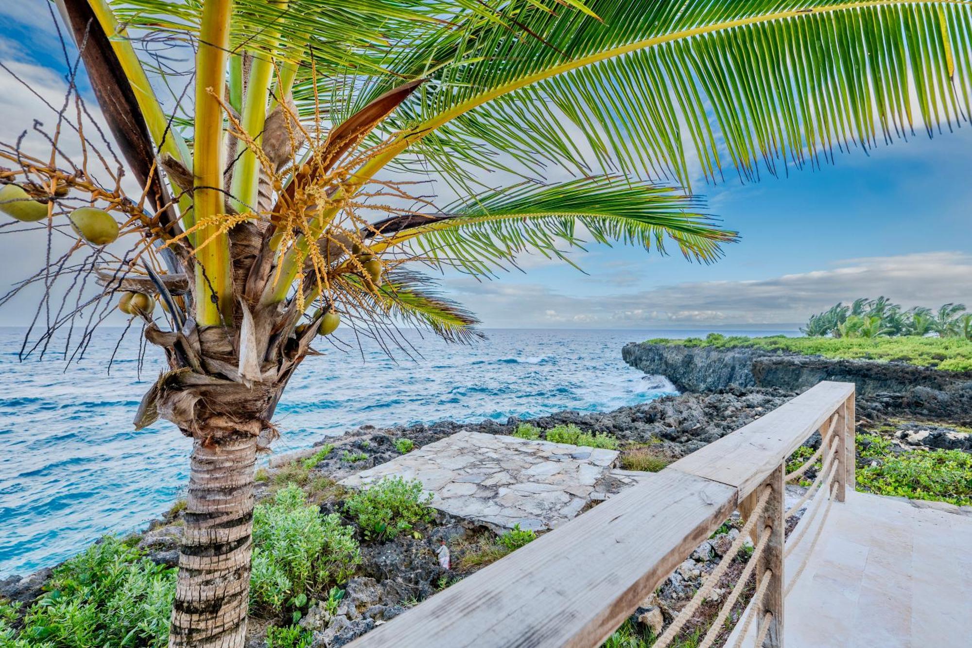 Palm House - Luxury Villa - Samana - Ocean Front Sánchez Zewnętrze zdjęcie
