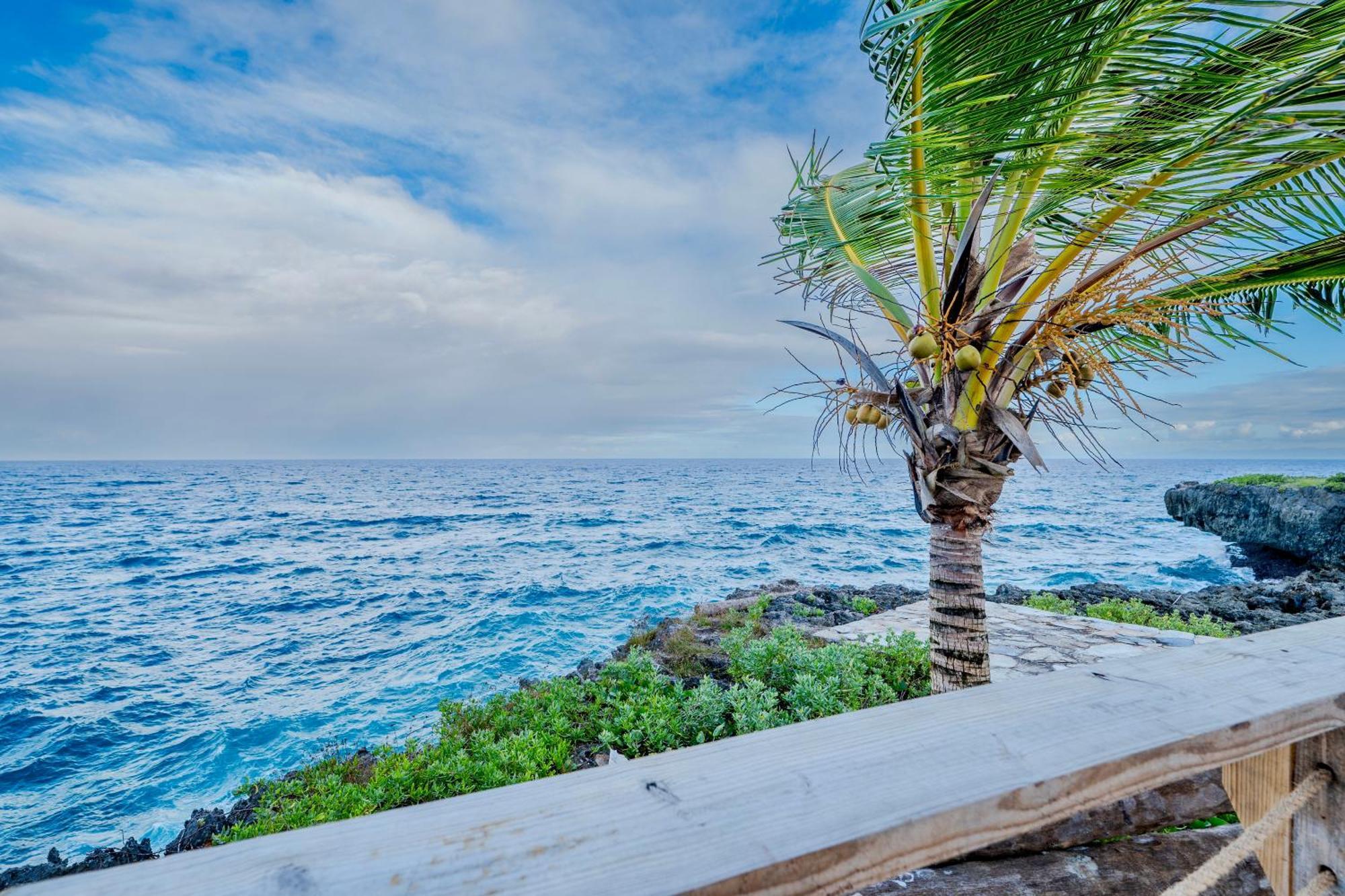 Palm House - Luxury Villa - Samana - Ocean Front Sánchez Zewnętrze zdjęcie