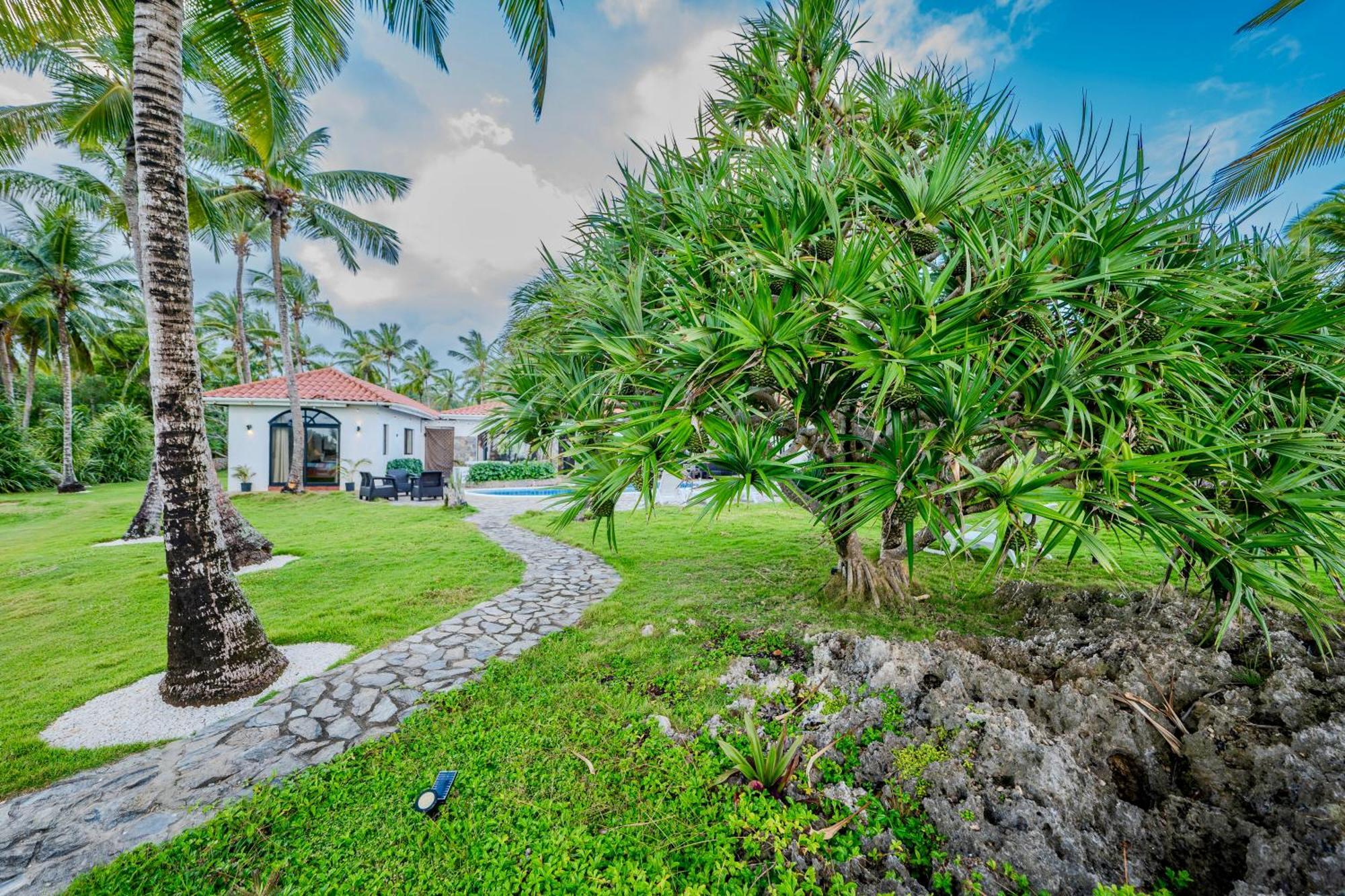 Palm House - Luxury Villa - Samana - Ocean Front Sánchez Zewnętrze zdjęcie